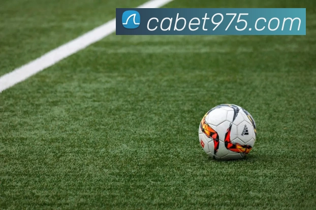 cabet亚州城APP 封面图